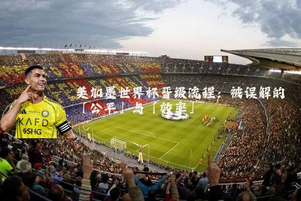 美加墨世界杯晋级流程：被误解的「公平」与「效率」