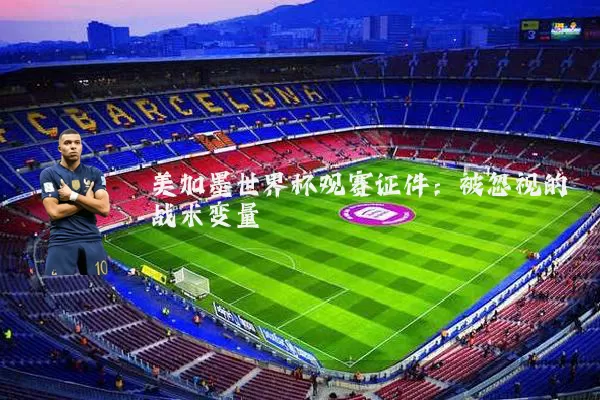 美加墨世界杯观赛证件:被忽视的战术变量